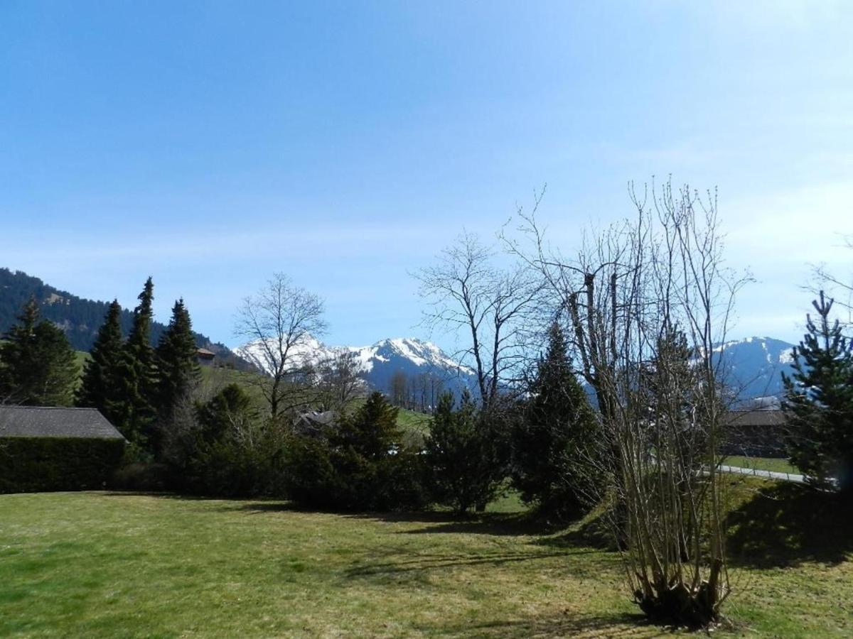 Charly Studio In Gstaad Exterior foto